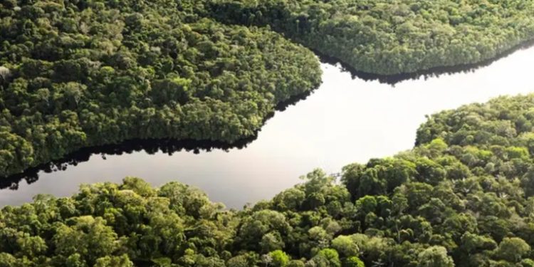 Congreso de Brasil flexibiliza las licencias ambientales