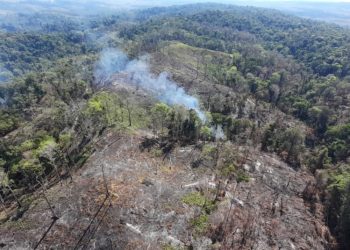 CONRED declara alerta roja en el departamento de Peten por incendios forestales