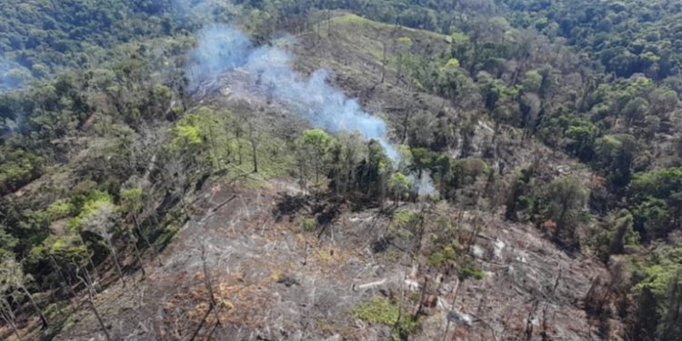 CONRED declara alerta roja en el departamento de Peten por incendios forestales