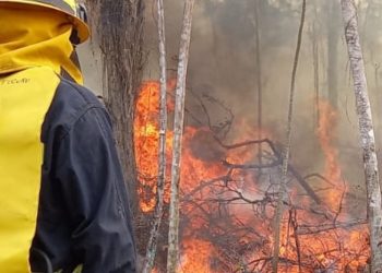 CONRED en alerta roja por 27 incendios forestales en el departamento de Petén