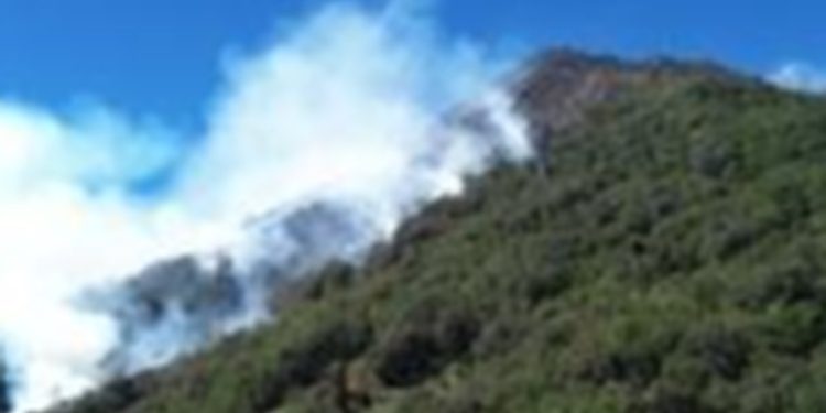 Conred: Incendio en el volcán de Agua controlado en un 80%
