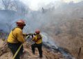 CONRED informa el registro de 613 incendios forestales