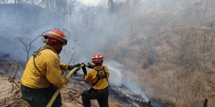 CONRED informa el registro de 613 incendios forestales