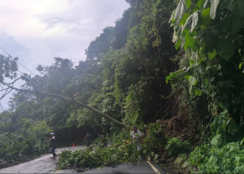 Conred reporta 145 incidentes por lluvias en lo que va del año