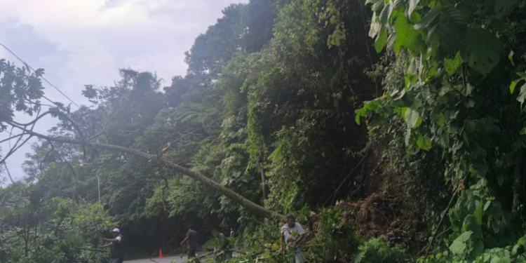 Conred reporta 145 incidentes por lluvias en lo que va del año