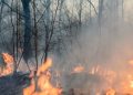 CONRED reporta 18 incendios forestales