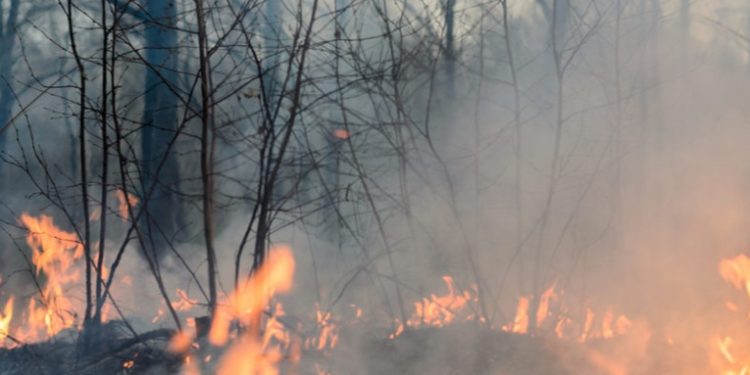 CONRED reporta 18 incendios forestales