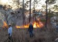 CONRED reporta 19 incendios forestales en el territorio nacional