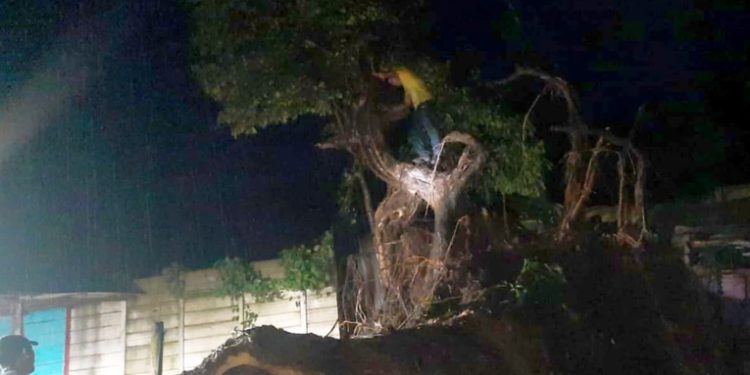 CONRED reporta más 35 mil afectados por lluvias y monitorea 45 municipios en alto riesgo