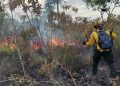 CONRED trabaja en incendio forestal en Petén