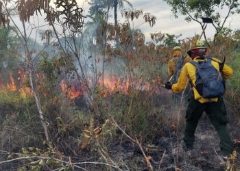 CONRED trabaja en incendio forestal en Petén