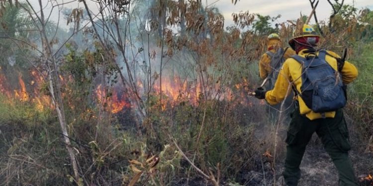 CONRED trabaja en incendio forestal en Petén