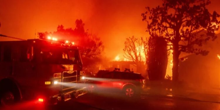 Consulado guatemalteco en Los Ángeles refuerza apoyo ante emergencia por incendios forestales