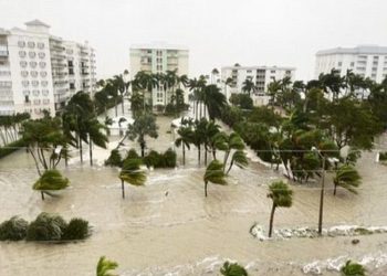 Consulados en Florida buscan establecer el estado de los guatemaltecos residentes de ese estado