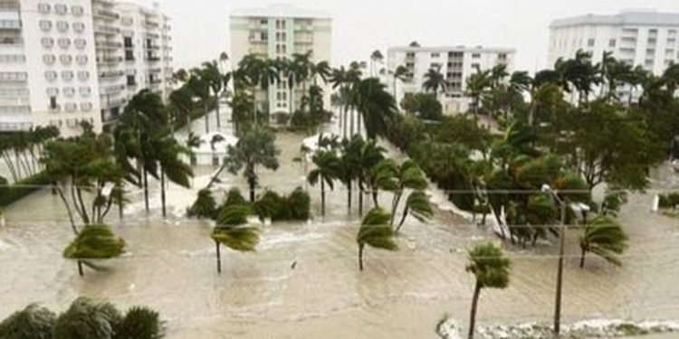 Consulados en Florida buscan establecer el estado de los guatemaltecos residentes de ese estado