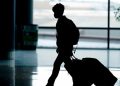 Continúa el caos en el transporte aéreo mundial por ómicron
