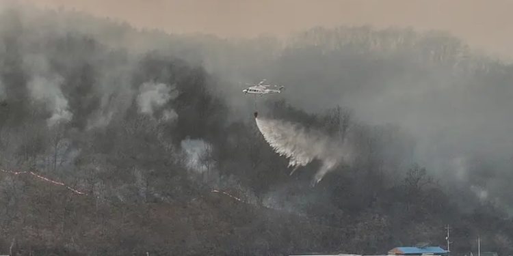 Corea del Sur reporta 18 muertos en incendios forestales