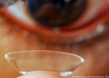 Córneas sintéticas fabricadas a partir de una fuente improbable devuelven la vista a 20 personas