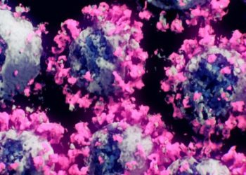 Coronavirus y ciencia: Â¿quién dice la verdad?