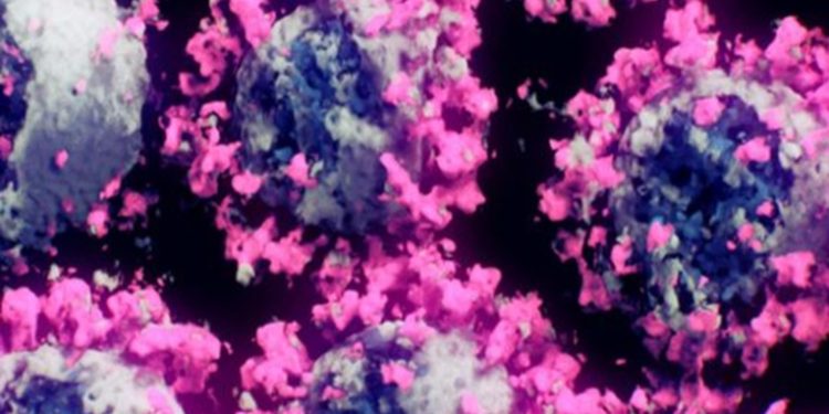 Coronavirus y ciencia: Â¿quién dice la verdad?