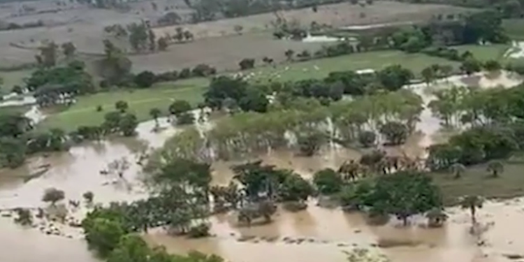 Cosechas en la Costa Sur del país dañadas por las lluvias