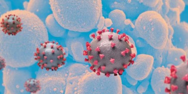 COVID-19: ¿qué sabemos hasta ahora de la subvariante BA.2, el