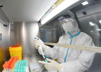 Crean en EE.UU. una nueva cepa del coronavirus que causa un 80% de mortalidad en ratones