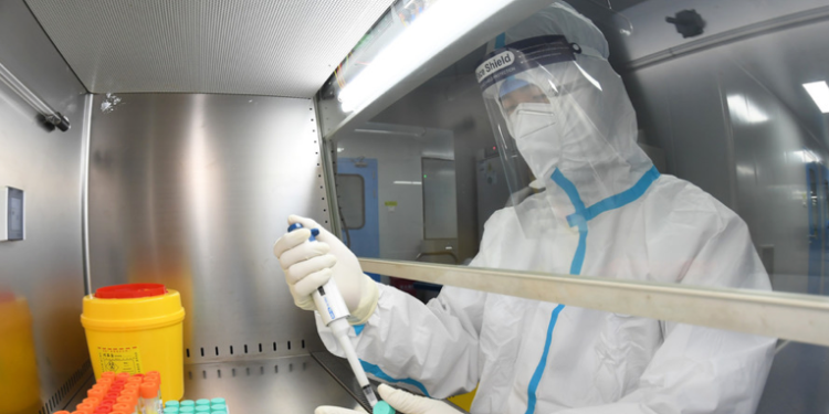 Crean en EE.UU. una nueva cepa del coronavirus que causa un 80% de mortalidad en ratones