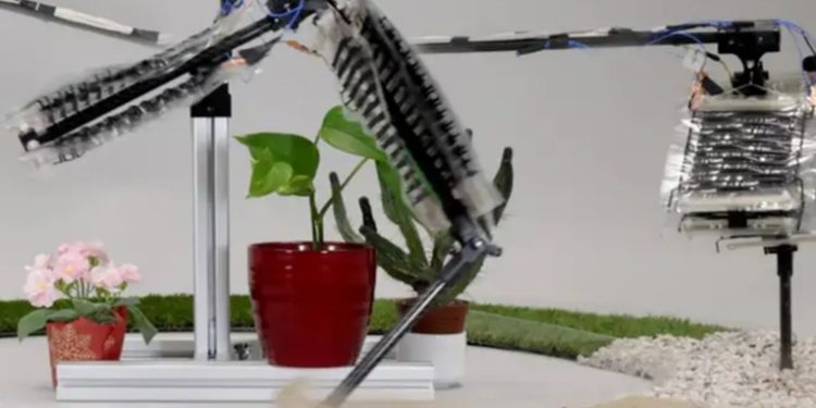 Crean la primera pierna robótica con músculos artificiales