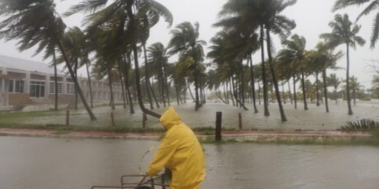 Cruz Roja facilita comunicación entre guatemaltecos y familiares en Florida por emergencia del huracán Milton