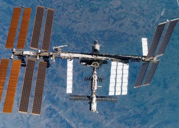 Cultivan por primera vez embriones de ratones en el espacio