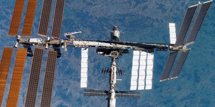 Cultivan por primera vez embriones de ratones en el espacio