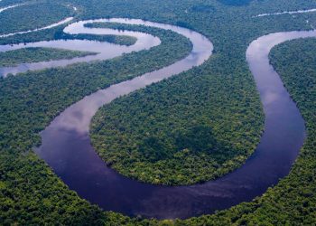 Decenas de estructuras precolombinas son encontradas bajo el manto de la selva amazónica