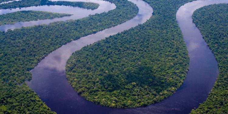 Decenas de estructuras precolombinas son encontradas bajo el manto de la selva amazónica