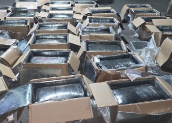 Decomisan marihuana valorada en Q3 millones en puerto Santo Tomás, Izabal