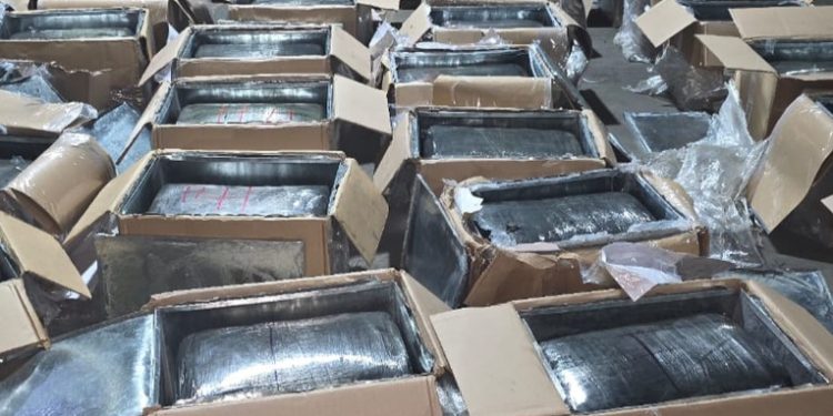 Decomisan marihuana valorada en Q3 millones en puerto Santo Tomás, Izabal