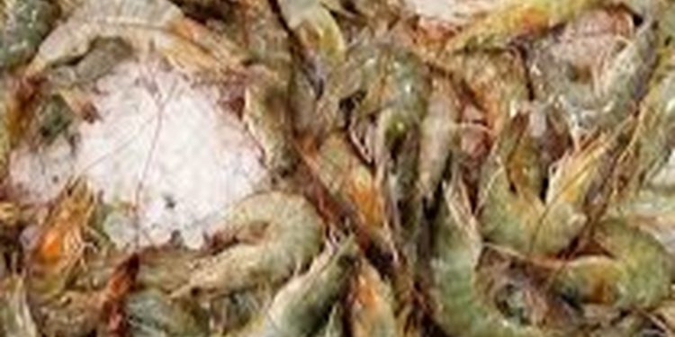 Delegación nicaragüense en Guatemala evalúa proceso de industrialización del camarón