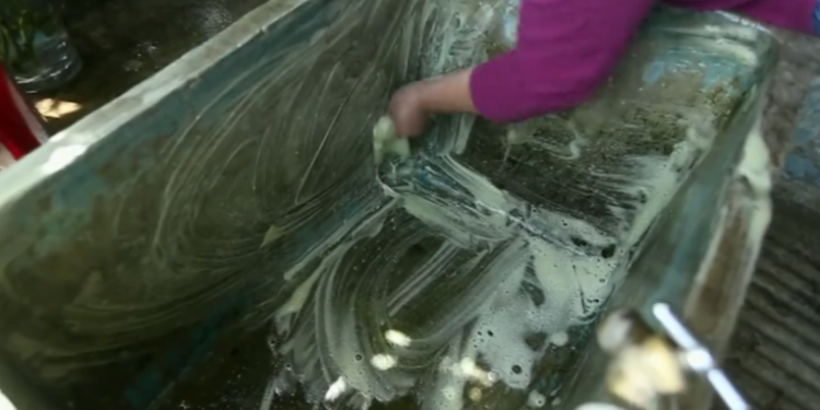 Salud emite alerta por temporada de Dengue