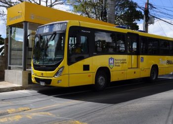 Denuncian anomalí­as en el sistema municipal TRANSPINULA