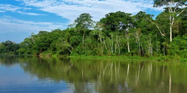 Denuncian crimen de ambientalista Victorio Dariquebe en Perú