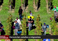 Denuncian estafas a migrantes