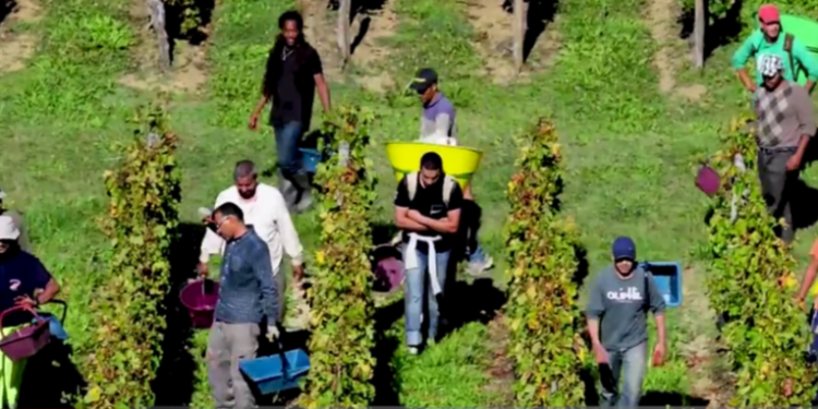 Denuncian estafas a migrantes