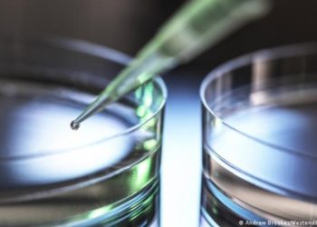 Desarrollan anticuerpo que ataca las células madre cancerosas de tumores