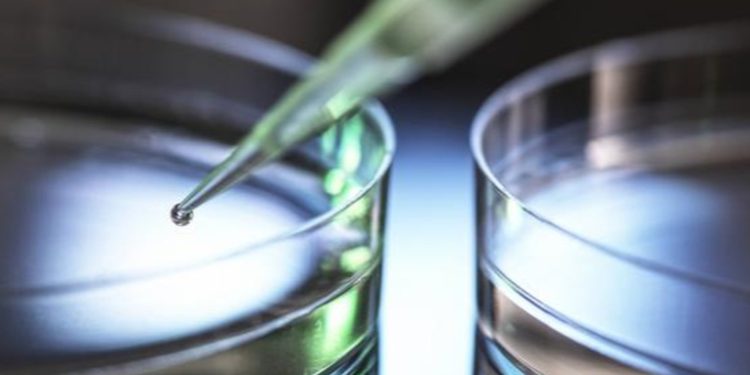 Desarrollan anticuerpo que ataca las células madre cancerosas de tumores