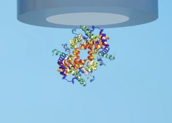 Desarrollan el primer prototipo de batería con base en un elemento de la sangre humana
