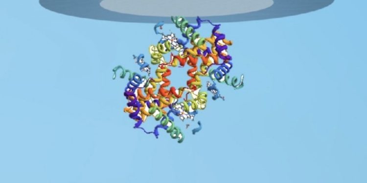 Desarrollan el primer prototipo de batería con base en un elemento de la sangre humana
