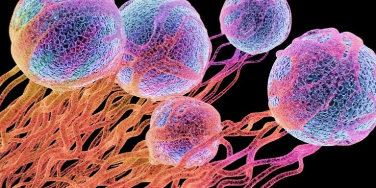 Desarrollan un tratamiento eficaz para curar y prevenir el cáncer