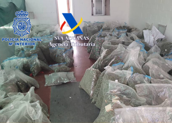 Desarticulan en España una red de narcotráfico internacional vinculada al Cártel de Sinaloa
