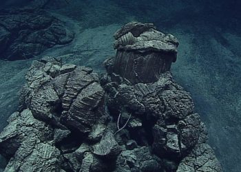 Descubren el virus más profundo conocido hasta ahora