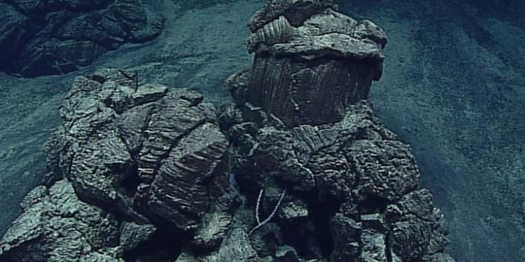 Descubren el virus más profundo conocido hasta ahora